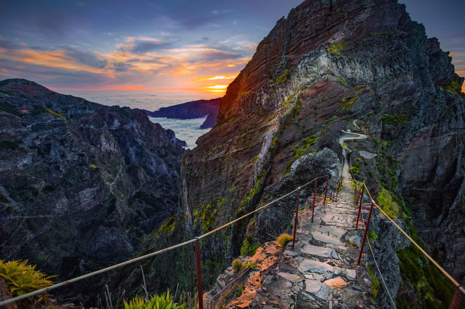 Madeira Island: A Paradise of Diversity