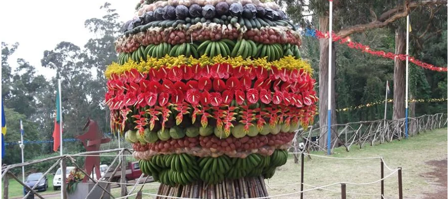 L’île effervescente : Découvrez les fêtes populaires de Madère à deux roues