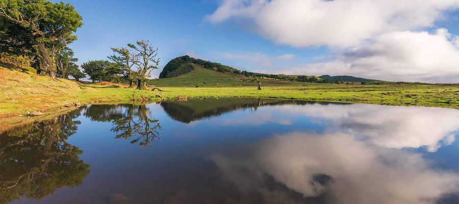 3 Orte, die man auf der Insel Madeira nicht verpassen sollte